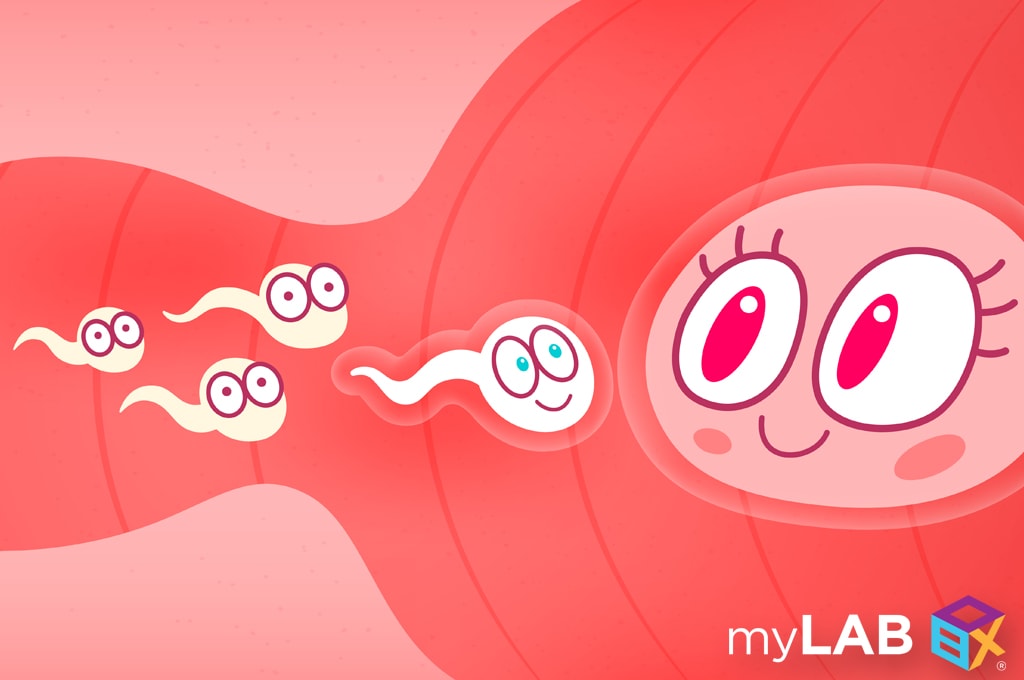 male infertility crisis